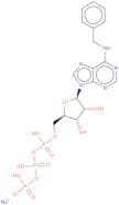 N6-Benzyladenosine 5'-triphosphate sodium salt - 10 mM aqueous solution