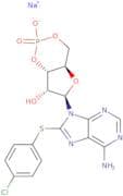 8-(4-Chlorophenylthio)adenosine 3',5'-cyclic monophosphate monosodium salt