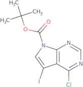 4-Chloro-5-iodo-pyrrolo[2,3-d]pyriMidine-7-carboxylic acid tert-butyl ester