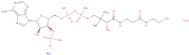Coenzyme A sodium salt hydrate