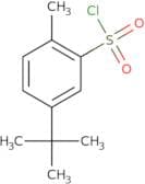 5-tert-Butyl-2-methyl-benzenesulfonyl chloride