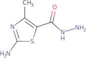 2-Imino-4-methyl-2,3-dihydro-1,3-thiazole-5-carbohydrazide
