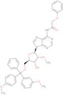 5'-O-DMT-2'-O-methyl-N6-phenoxyacetyladenosine