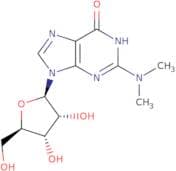 N2,N2-Dimethylguanosine