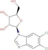 5,6-Dichlorobenzimidazole-1-b-D-ribofuranoside