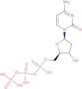 2'-Deoxycytidine-5'-O-(1-thiotriphosphate) sodium salt - 10 mM aqueous solution