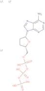 2',3'-Dideoxyadenosine-5'-triphosphate lithium salt - 100mM aqueous solution