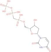 2'-Deoxyuridine-5'-[(a,b)-methyleno]triphosphate sodium salt - 10 mM aqueous solution