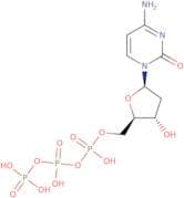 dCTP - 100mmol solution