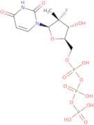 2'-Deoxy-2'-fluoro-2'-C-methyluridine 5'-triphosphate sodium salt