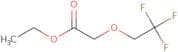 Ethyl 2-(2,2,2-trifluoroethoxy)acetate