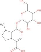 (4aR,7aR)-7-Methyl-1-[3,4,5-trihydroxy-6-(hydroxymethyl)oxan-2-yl]oxy-1,4a,5,6,7,7a-hexahydrocyclo…