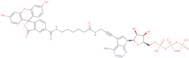 Fluorescein alkynylamino-ATP - 1.0 mM solution