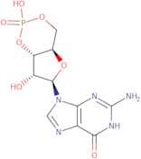 Guanosine 3',5'-cyclic monophosphate