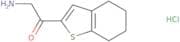 2-Amino-1-(4,5,6,7-tetrahydro-1-benzothiophen-2-yl)ethan-1-one hydrochloride