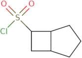 Bicyclo[3.2.0]heptane-6-sulfonyl chloride