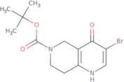 tert-Butyl 3-bromo-4-hydroxy-5,6,7,8-tetrahydro-1,6-naphthyridine-6-carboxylate