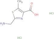 2-(Aminomethyl)-5-methyl-1,3-thiazole-4-carboxylic acid dihydrochloride