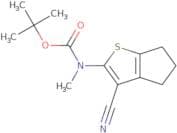 tert-Butyl N-{3-cyano-4H,5H,6H-cyclopenta[b]thiophen-2-yl}-N-methylcarbamate