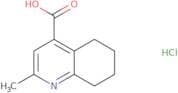 2-Methyl-5,6,7,8-tetrahydroquinoline-4-carboxylic acid hydrochloride