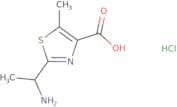 2-(1-Aminoethyl)-5-methyl-1,3-thiazole-4-carboxylic acid hydrochloride