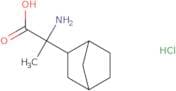 2-Amino-2-{bicyclo[2.2.1]heptan-2-yl}propanoic acid hydrochloride