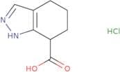 4,5,6,7-Tetrahydro-1H-indazole-7-carboxylic acid hydrochloride