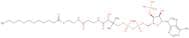 Lauroyl coenzyme A