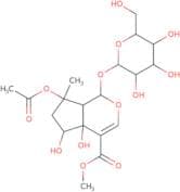 Phlorigidoside B