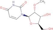 2'-O-Methyluridine
