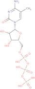 5-Methylcytidine-5'-triphosphate sodium salt - 100mM aqueous solution