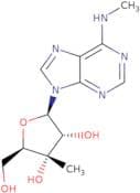 3’-b-C-Methyl-N6-methyladenosine