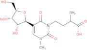 1-Methyl-3-(3-amino-3-carboxypropyl)pseudouridine