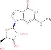 N2-Methylguanosine