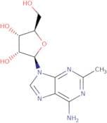 C2-Methyladenosine