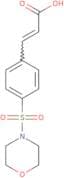 (2E)-3-[4-(Morpholine-4-sulfonyl)phenyl]prop-2-enoic acid