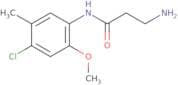 3-Amino-N-(4-chloro-2-methoxy-5-methylphenyl)propanamide