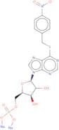 6-[(4-Nitrobenzyl)thio]-9-(b-D-ribofuranosyl)purine-5'-monophosphate disodium salt