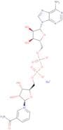 β-Nicotinamide adenine dinucleotide sodium dihydrate