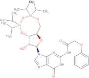 N2-Phenoxyacetyl-3',5'-O-(1,1,3,3-tetraisopropyl-1,3-disiloxanediyl)guanosine
