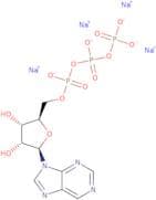 Purine riboside-5'-triphosphate