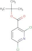 tert-Butyl 2,6-Dichloronicotinate