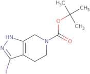 tert-Butyl 3-iodo-1H,4H,5H,6H,7H-pyrazolo[3,4-c]pyridine-6-carboxylate