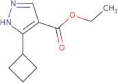 Ethyl 3-cyclobutyl-1H-pyrazole-4-carboxylate