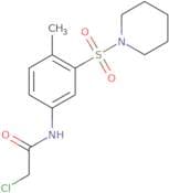 2-Chloro-N-[4-methyl-3-(piperidine-1-sulfonyl)phenyl]acetamide