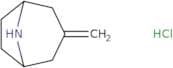 3-Methylidene-8-azabicyclo[3.2.1]octane hydrochloride