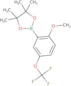 2-Methoxy-5-trifluoromethoxyphenylboronic acid pinacol ester