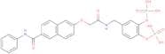 [4-[[[2-[6-(Phenylcarbamoyl)naphthalen-2-yl]oxyacetyl]amino]methyl]-2-phosphonooxyphenyl] dihydrog…