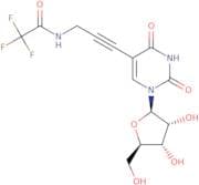 5-[3-(Trifluoroacetyl)aminopropyn-1-yl]uridine