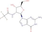 2'-TFA-NH-dG